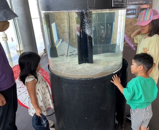 水族館で楽しそうな子供たちの様子